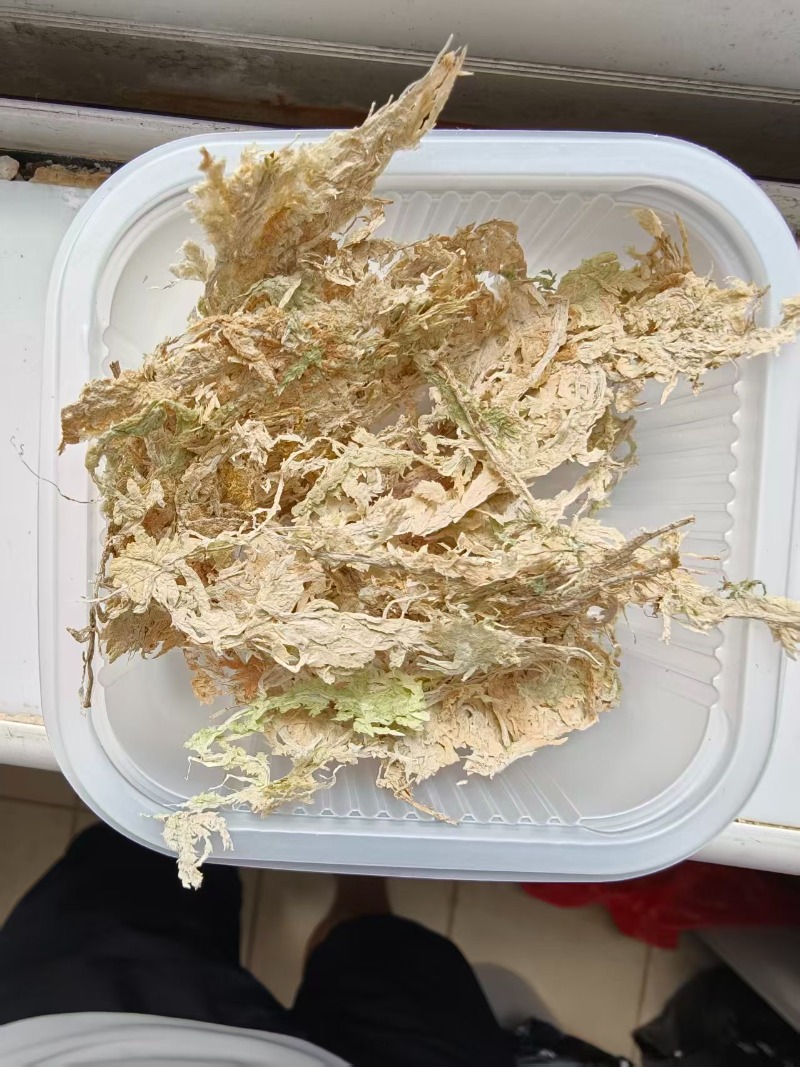 Orkideler için birinci sınıf S - Sphagnum Moss Dry incelemesi ve fiyatı
